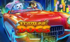 Spiel Fortune Dogs