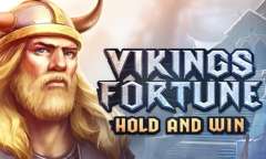 Spiel Viking Fortune: Hold and Win