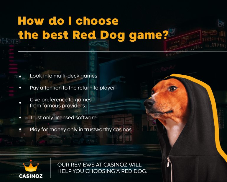 Wie wähle ich das beste Red Dog-Spiel aus?