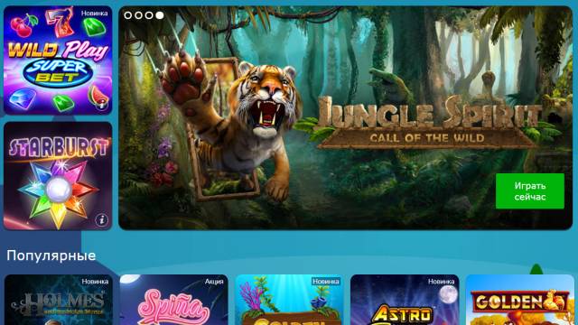 Möglichkeiten der Organisation von Spielen in Online-Casinos
