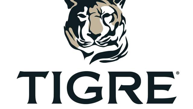 Tigre de Cristal: Eine russische Casino-Erfolgsgeschichte