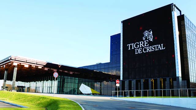 Tigre de Cristal ist bereit zum Sprung