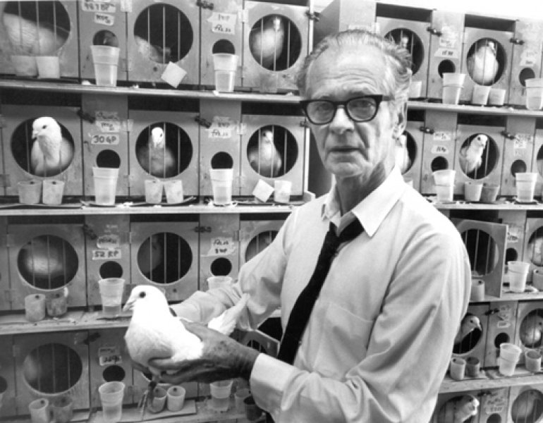 Die Experimente von B.F. Skinner
