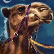 10 001 Nights MegaWays: Kamel