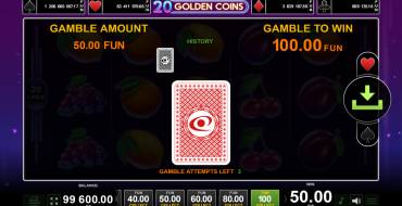 20 Golden Coins: Risiko-Spiel