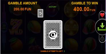 20 Golden Coins — Christmas Edition: Risiko-Spiel
