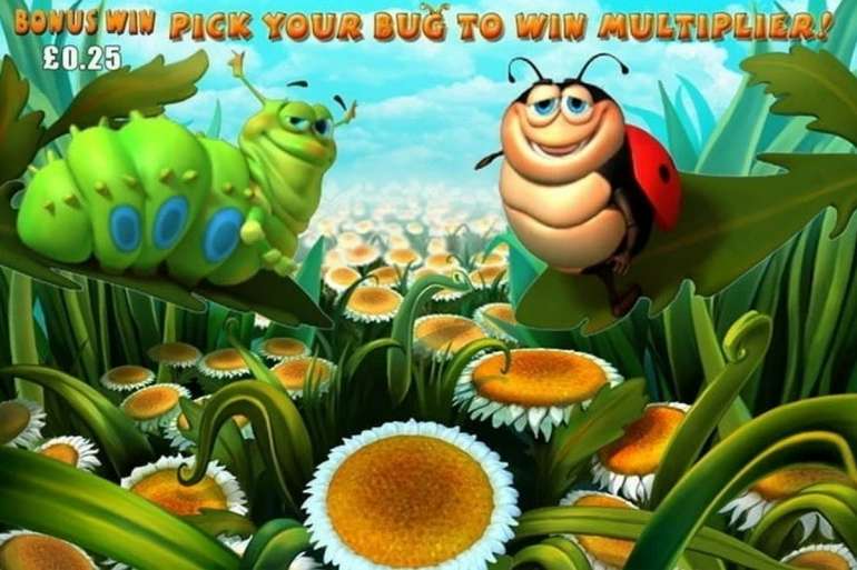 Glückliche Käfer
