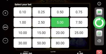 3 Coins Hold and Win: Wette