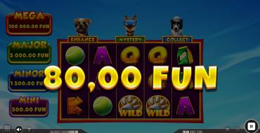 3 Top Dogs: Gewinne