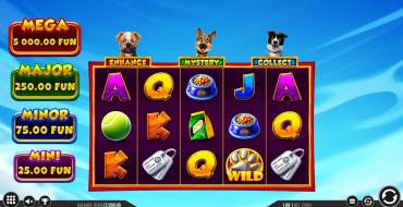 3 Top Dogs: Schnittstelle