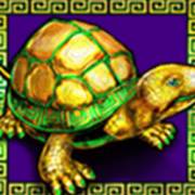 5 Fortune Dragon: Schildkröte