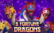 5 Fortune Dragon