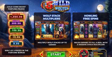 5 Wild Wolves: Einzigartige Merkmale