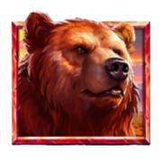 5 Wild Wolves: Bär