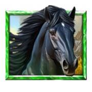 5 Wild Wolves: Mustang