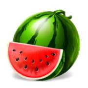 5x6 Fruity Shots: Wassermelone