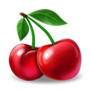 5x6 Fruity Shots: Kirsche