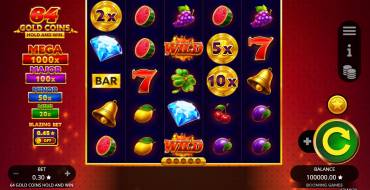 64 Gold Coins Hold and Win: Spielautomat