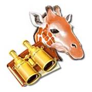 Africa Gold: Giraffe, Fernglas