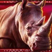 African Elephant: Rhinozeros