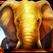 African Luck: Elefant