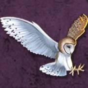 Age of Athena: Eule