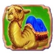 Aladdin’s Lamp: Kamel