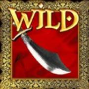 Aladdin’s Treasure: Wild