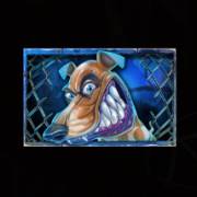 Angry Dogs: Junge