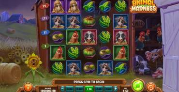 Animal Madness: Thema