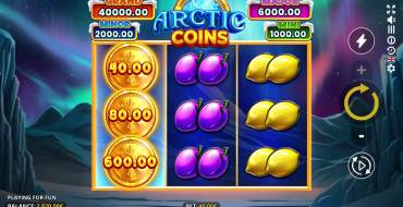 Arctic Coins: Running Wins: Schnittstelle