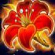 Arising Phoenix: Blume