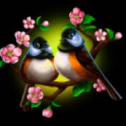 Bamboo Grove: Vögel