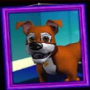 Barkin’ Mad: Hündchen
