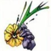 Batman: Blume