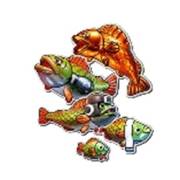 Big Bass Boxing Bonus Round: Fisch (jede Linie)