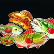 Big Bass Splash: Fisch