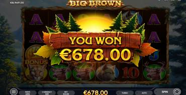 Big Brown: Gewinne