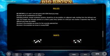 Big Brown: Regeln