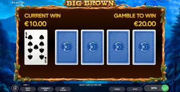 Big Brown: Risiko-Spiel