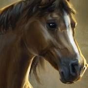 Big Bucks Bandits Megaways: Pferd