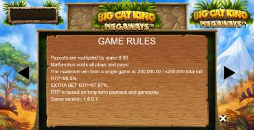 Big Cat King Megaways: Regeln