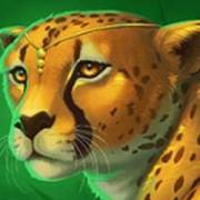Big Cat King Megaways: Gepard