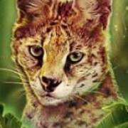 Big Cat Rescue Megaways: Luchs