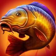 Big Fishing: Karpfen