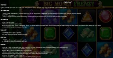 Big Money Frenzy: Regeln