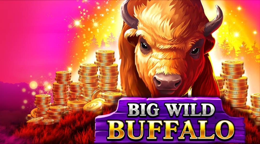 Big Wild Buffalo
