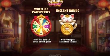 Big Win Cat Pawsperity: Einzigartige Merkmale