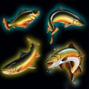Bigger Size Fishin': Fisch