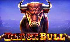 Spiel Black Bull